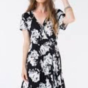 Agnes and Dora Nightengale Dress